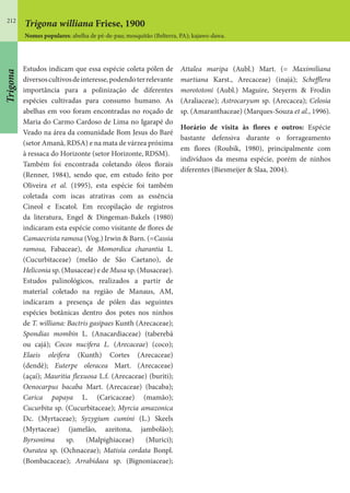 212
Estudos indicam que essa espécie coleta pólen de
diversoscultivosdeinteresse,podendoterrelevante
importância para a polinização de diferentes
espécies cultivadas para consumo humano. As
abelhas em voo foram encontradas no roçado de
Maria do Carmo Cardoso de Lima no Igarapé do
Veado na área da comunidade Bom Jesus do Baré
(setor Amanã, RDSA) e na mata de várzea próxima
à ressaca do Horizonte (setor Horizonte, RDSM).
Também foi encontrada coletando óleos florais
(Renner, 1984), sendo que, em estudo feito por
Oliveira et al. (1995), esta espécie foi também
coletada com iscas atrativas com as essência
Cineol e Escatol. Em recopilação de registros
da literatura, Engel & Dingeman-Bakels (1980)
indicaram esta espécie como visitante de flores de
Camaecrista ramosa (Vog.) Irwin & Barn. (=Cassia
ramosa, Fabaceae), de Momordica charantia L.
(Cucurbitaceae) (melão de São Caetano), de
Heliconia sp. (Musaceae) e de Musa sp. (Musaceae).
Estudos palinológicos, realizados a partir de
material coletado na região de Manaus, AM,
indicaram a presença de pólen das seguintes
espécies botânicas dentro dos potes nos ninhos
de T. williana: Bactris gasipaes Kunth (Arecaceae);
Spondias mombin L. (Anacardiaceae) (taberebá
ou cajá); Cocos nucifera L. (Arecaceae) (coco);
Elaeis oleifera (Kunth) Cortes (Arecaceae)
(dendê); Euterpe oleracea Mart. (Arecaceae)
(açaí); Mauritia flexuosa L.f. (Arecaceae) (buriti);
Oenocarpus bacaba Mart. (Arecaceae) (bacaba);
Carica papaya L. (Caricaceae) (mamão);
Cucurbita sp. (Cucurbitaceae); Myrcia amazonica
Dc. (Myrtaceae); Syzygium cumini (L.) Skeels
(Myrtaceae) (jamelão, azeitona, jambolão);
Byrsonima sp. (Malpighiaceae) (Murici);
Ouratea sp. (Ochnaceae); Matisia cordata Bonpl.
(Bombacaceae); Arrabidaea sp. (Bignoniaceae);
Attalea maripa (Aubl.) Mart. (= Maximiliana
martiana Karst., Arecaceae) (inajá); Schefflera
morototoni (Aubl.) Maguire, Steyerm & Frodin
(Araliaceae); Astrocaryum sp. (Arecacea); Celosia
sp. (Amaranthaceae) (Marques-Souza et al., 1996).
Horário de visita às flores e outros: Espécie
bastante defensiva durante o forrageamento
em flores (Roubik, 1980), principalmente com
indivíduos da mesma espécie, porém de ninhos
diferentes (Biesmeijer & Slaa, 2004).
Trigona williana Friese, 1900
Nomes populares: abelha de pé-de-pau; mosquitão (Belterra, PA); kajawo-dawa.
Trigona
 