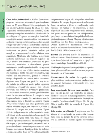 218
Trigonisca graeffei (Friese, 1900)
Caracterização taxonômica: Abelhas de tamanho
pequeno, com comprimento total aproximado em
torno de 2,7 mm (Figura 396); comprimento da
asa anterior 2,2 mm; largura da cabeça 1,11 mm.
Tegumento predominantemente castanho, exceto
pelas seguintes partes amareladas: 2/3 inferiores da
face (Figura 397); genas por completo, invadindo
o occipício; escapo amarelo-méleo, com mancha
castanha pequena no terço apical, na face dorsal,
o flagelo castanho; pernas acastanhadas, a base das
tíbias castanho-clara, os quatro últimos tarsômeros
amarelados, as pernas anteriores méleas por
completo; pronoto amarelo-méleo; abdome mais
escurecido. Membrana alar hialina, as nervuras
castanho-translúcidas na metade superior da
asa, a base da asa amarelada. Pilosidade no geral
amarelada, curtíssima e decumbente, poucas
cerdas eretas mais longas distribuídas em algumas
regiões do corpo, no vértice, cantos anteriores
do mesoscuto, bordo posterior do escutelo, face
ventral dos mesepisternos, pernas e abdome;
escapo desprovido de cerdas eretas evidentes,
algumas mais longas no pedicelo, em torno
da metade do diâmetro deste; pelos plumosos
curtíssimos, perceptíveis apenas nos lóbulos
pronotais, e ao redor dos espiráculos propodeais;
as cerdas eretas muito finas, curtas, geralmente em
torno de uma vez o diâmetro do escapo, as mais
longas no bordo posterior do escutelo, em tono de
duas vezes e meia o diâmetro do escapo (Figura
398); bordo posterior das tíbias posteriores com
cerdas bastante longas, em torno de 4,5 vezes o
diâmetro do escapo, sem pelos plumosos (Figura
399); tergo I praticamente glabro; uma faixa muito
estreita de cerdas minúsculas no bordo posterior
do tergo II (Figura 400), uma faixa de cerdas
curtas e esparsas distribuídas na metade posterior
dos tergos, a partir do tergo III, ocupando toda a
parte visível destes, as cerdas gradativamente mais
longas e espessas em direção ao ápice do abdome,
a faixa ocupando o disco no VI, onde as cerdas são
um pouco mais longas, não atingindo a metade do
diâmetro do escapo. Tegumento microalveolado
fosco na cabeça e tórax, a esculturação mais
marcada no vértice e no mesoscuto, e mais
superficial, deixando o tegumento mais brilhoso,
nas genas, metade posterior dos mesepisternos,
propódeo e pernas; abdome liso, polido e brilhante,
pontuação apenas pilígera. Abdome subtriangular;
mandíbula com dois dentes muito pequenos.
Outras informações taxonômicas sobre esta
espécie podem ser encontradas em Friese (1900),
Ducke (1916, 1925) e Moure (1950).
Hábitat: No presente estudo foi encontrada ao
redor da casa na base de campo em ambiente de
terra firme/paleo-várzea1
associada a igapó na
cabeceira do Lago Amanã (Figura 400.A).
Nidificação: Segundo Camargo (1994), as espécies
desse gênero nidificam, usualmente, em pequenas
cavidades em árvores secas.
Características do ninho: As espécies desse
gênero utilizam muito pouca resina na elaboração
do cerume, fabricando praticamente cera pura
(Roubik, 2006).
Para a construção da caixa para a espécie: Para
esta espécie podem ser utilizados os mesmo
modelosecuidadosindicadosparaPlebeiaminima,
considerando os tamanhos reduzidos das espécies:
o modelo Cacuí tamanho PP (Figura 73 a 79; pág.
52) e o modelo PNN de tamanho P (Figura 80 a
91; pág. 54).
Informações para Manejo: É importante usar fita
adesiva crepe na junção de uma gaveta e outra,
bem como na junção da gaveta superior com o
teto da colméia. Se nesses lugares encontrarem
1
Segundo Irion et al., 2011
Trigonisca
 