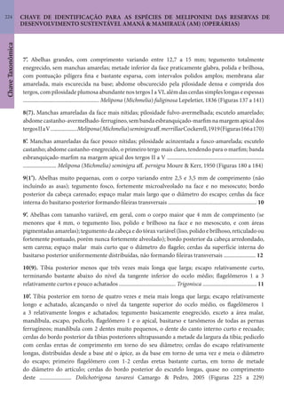 224
ChaveTaxonômica
CHAVE DE IDENTIFICAÇÃO PARA AS ESPÉCIES DE MELIPONINI DAS RESERVAS DE
DESENVOLVIMENTO SUSTENTÁVEL AMANÃ & MAMIRAUÁ (AM) (OPERÁRIAS)
7’. Abelhas grandes, com comprimento variando entre 12,7 a 15 mm; tegumento totalmente
enegrecido, sem manchas amarelas; metade inferior da face praticamente glabra, polida e brilhosa,
com pontuação pilígera fina e bastante esparsa, com intervalos polidos amplos; membrana alar
amarelada, mais escurecida na base; abdome obscurecido pela pilosidade densa e comprida dos
tergos, com pilosidade plumosa abundante nos tergos I a VI, além das cerdas simples longas e espessas
....................................................... Melipona (Michmelia) fuliginosa Lepeletier, 1836 (Figuras 137 a 141)
8(7). Manchas amareladas da face mais nítidas; pilosidade fulvo-avermelhada; escutelo amarelado;
abdome castanho-avermelhado-ferrugíneo, sem banda esbranquiçado-marfim na margem apical dos
tergosIIaV...................Melipona(Michmelia)seminigraaff.merrillaeCockerell,1919(Figuras166a170)
8’. Manchas amareladas da face pouco nítidas; pilosidade acinzentada a fusco-amarelada; escutelo
castanho; abdome castanho-enegrecido, o primeiro tergo mais claro, tendendo para o marfim; banda
esbranquiçado-marfim na margem apical dos tergos II a V ......................................................................
........................ Melipona (Michmelia) seminigra aff. pernigra Moure & Kerr, 1950 (Figuras 180 a 184)
9(1’). Abelhas muito pequenas, com o corpo variando entre 2,5 e 3,5 mm de comprimento (não
incluindo as asas); tegumento fosco, fortemente microalveolado na face e no mesoscuto; bordo
posterior da cabeça carenado; espaço malar mais largo que o diâmetro do escapo; cerdas da face
interna do basitarso posterior formando fileiras transversais ................................................................ 10
9’. Abelhas com tamanho variável, em geral, com o corpo maior que 4 mm de comprimento (se
menores que 4 mm, o tegumento liso, polido e brilhoso na face e no mesoscuto, e com áreas
pigmentadas amarelas); tegumento da cabeça e do tórax variável (liso, polido e brilhoso, reticulado ou
fortemente pontuado, porém nunca fortemente alveolado); bordo posterior da cabeça arredondado,
sem carena; espaço malar mais curto que o diâmetro do flagelo; cerdas da superfície interna do
basitarso posterior uniformemente distribuídas, não formando fileiras transversais ....................... 12
10(9). Tíbia posterior menos que três vezes mais longa que larga; escapo relativamente curto,
terminando bastante abaixo do nível da tangente inferior do ocelo médio; flagelômeros 1 a 3
relativamente curtos e pouco achatados ......................................... Trigonisca ....................................... 11
10’. Tíbia posterior em torno de quatro vezes e meia mais longa que larga; escapo relativamente
longo e achatado, alcançando o nível da tangente superior do ocelo médio, os flagelômeros 1
a 3 relativamente longos e achatados; tegumento basicamente enegrecido, exceto a área malar,
mandíbula, escapo, pedicelo, flagelômero 1 e o apical, basitarso e tarsômeros de todas as pernas
ferrugíneos; mandíbula com 2 dentes muito pequenos, o dente do canto interno curto e recuado;
cerdas do bordo posterior da tíbias posteriores ultrapassando a metade da largura da tíbia; pedicelo
com cerdas eretas de comprimento em torno do seu diâmetro; cerdas do escapo relativamente
longas, distribuídas desde a base até o ápice, as da base em torno de uma vez e meia o diâmetro
do escapo; primeiro flagelômero com 1-2 cerdas eretas bastante curtas, em torno de metade
do diâmetro do artículo; cerdas do bordo posterior do escutelo longas, quase no comprimento
deste ....................... Dolichotrigona tavaresi Camargo & Pedro, 2005 (Figuras 225 a 229)
 