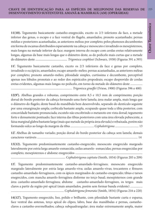 225
ChaveTaxonômica
CHAVE DE IDENTIFICAÇÃO PARA AS ESPÉCIES DE MELIPONINI DAS RESERVAS DE
DESENVOLVIMENTO SUSTENTÁVEL AMANÃ & MAMIRAUÁ (AM) (OPERÁRIAS)
11(10). Tegumento basicamente castanho-enegrecido, exceto os 2/3 inferiores da face, a metade
inferior das genas, o escapo e a face ventral do flagelo, amarelados; pronoto acastanhado; pernas
médias e posteriores acastanhadas, as anteriores méleas por completo; pelos plumosos decumbentes
emformadeescamasdistribuídosesparsamentenacabeçaemesoscutoeinvadindoosmesepisternos,
mais longos na metade inferior da face; margem interna do escapo com cerdas eretas relativamente
longas, algumas da base mais longas que o diâmetro deste, as do pedicelo mais curtas que a metade
do diâmetro deste .......................................... Trigonisca ceophloei (Schwarz, 1938) (Figuras 391 a 395)
11’. Tegumento basicamente castanho, exceto os 2/3 inferiores da face e genas por completo,
invadindo o occipício, amarelados; escapo amarelo-méleo; pernas acastanhadas, as anteriores méleas
por completo; pronoto amarelo-méleo; pilosidade simples, curtíssima e decumbente, perceptível
apenas nos lóbulos pronotais e ao redor dos espiráculos propodeais; escapo desprovido de cerdas
eretas evidentes, algumas mais longas no pedicelo, em torno da metade do diâmetro deste ................
................................................................................. Trigonisca graeffei (Friese, 1900) (Figuras 396 a 400)
12(9’). Abelhas grandes e robustas, comprimento entre 8,5 e 10,5 mm de comprimento; porção
dorsal do bordo posterior da cabeça formando uma forte lamela; área malar ampla, mais longa que
o diâmetro do flagelo; dente basal da mandíbula bem desenvolvido, separado do dentículo seguinte
por uma emarginação ampla; corbícula bastante ampla, ocupando quase toda a tíbia posterior, com
concavidade bastante pronunciada; escutelo não encobrindo o metanoto em vista dorsal; tegumento
forte e densamente pontuado; face interna das tíbias posteriores com uma área elevada pubescente, a
faixa marginal glabra bastante larga (mais que metade da própria área elevada) e rebaixada, porém não
formando sulco ao longo da margem da tíbia ............................... Cephalotrigona ............................... 13
12’. Abelhas de tamanho variado; porção dorsal do bordo posterior da cabeça sem lamela; demais
caracteres variáveis ..................................................................................................................................... 14
13(12). Tegumento predominantemente castanho-enegrecido; mesoscuto enegrecido margeado
lateralmente por estria larga amarelo-esmaecida; axilas amarelo- esmaecidas; pernas enegrecidas por
completo; mesepisternos e abdome enegrecidos .........................................................................................
........................................................................ Cephalotrigona capitata (Smith, 1854) (Figuras 205 a 209)
13’. Tegumento predominantemente castanho-amarelado-ferrugíneo; mesoscuto enegrecido
margeado lateralmente por estria larga amarelo-viva; axilas amarelo-vivas; trocanteres e fêmures
castanho-amarelado-ferrugíneos, com os ápices marginados de castanho-enegrecido; tíbias e tarsos
enegrecidos, com mancha amarelo-ferrugínea disforme no terço basal; mesepisternos com grande
área castanho-amarelado-ferrugínea; abdome castanho-amarelado-ferrugíneo, os tergos mais
claros a partir da região pré-apical (mais amarelados, porém sem formar banda evidente) ................
...................................................................... Cephalotrigona femorata (Smith, 1854) (Figuras 216 a 220)
14(12’). Tegumento enegrecido, liso, polido e brilhante, com pilosidade bastante curta e esparsa;
face ventral das antenas, terço apical do clípeo, labro, base das mandíbulas e pernas, castanho-
claros a castanho-avermelhados; cabeça subquadrangular; área malar extremamente ampla, maior
 