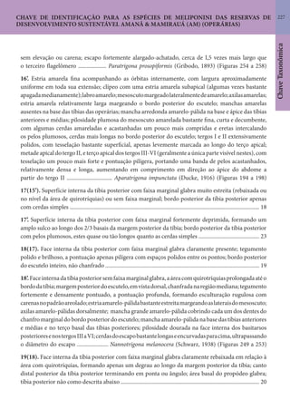 227
ChaveTaxonômica
CHAVE DE IDENTIFICAÇÃO PARA AS ESPÉCIES DE MELIPONINI DAS RESERVAS DE
DESENVOLVIMENTO SUSTENTÁVEL AMANÃ & MAMIRAUÁ (AM) (OPERÁRIAS)
sem elevação ou carena; escapo fortemente alargado-achatado, cerca de I,5 vezes mais largo que
o terceiro flagelômero .................... Paratrigona prosopiformis (Gribodo, 1893) (Figuras 254 a 258)
16’. Estria amarela fina acompanhando as órbitas internamente, com largura aproximadamente
uniforme em toda sua extensão; clípeo com uma estria amarela subapical (algumas vezes bastante
apagadamedianamente);labroamarelo;mesoscutomargeadolateralmentedeamarelo;axilasamarelas;
estria amarela relativamente larga margeando o bordo posterior do escutelo; manchas amarelas
ausentes na base das tíbias das operárias; mancha arredonda amarelo-pálida na base e ápice das tíbias
anteriores e médias; pilosidade plumosa do mesoscuto amarelada bastante fina, curta e decumbente,
com algumas cerdas amareladas e acastanhadas um pouco mais compridas e eretas intercalando
os pelos plumosos, cerdas mais longas no bordo posterior do escutelo; tergos I e II extensivamente
polidos, com tesselação bastante superficial, apenas levemente marcada ao longo do terço apical;
metade apical do tergo II, e terço apical dos tergos III-VI (geralmente a única parte visível nestes), com
tesselação um pouco mais forte e pontuação pilígera, portando uma banda de pelos acastanhados,
relativamente densa e longa, aumentando em comprimento em direção ao ápice do abdome a
partir do tergo II ................................ Aparatrigona impunctata (Ducke, 1916) (Figuras 194 a 198)
17(15’). Superfície interna da tíbia posterior com faixa marginal glabra muito estreita (rebaixada ou
no nível da área de quirotríquias) ou sem faixa marginal; bordo posterior da tíbia posterior apenas
com cerdas simples ...................................................................................................................................... 18
17’. Superfície interna da tíbia posterior com faixa marginal fortemente deprimida, formando um
amplo sulco ao longo dos 2/3 basais da margem posterior da tíbia; bordo posterior da tíbia posterior
com pelos plumosos, estes quase ou tão longos quanto as cerdas simples ........................................... 23
18(17). Face interna da tíbia posterior com faixa marginal glabra claramente presente; tegumento
polido e brilhoso, a pontuação apenas pilígera com espaços polidos entre os pontos; bordo posterior
do escutelo inteiro, não chanfrado ............................................................................................................. 19
18’.Faceinternadatíbiaposteriorsemfaixamarginalglabra,aáreacomquirotríquiasprolongadaatéo
bordodatíbia;margemposteriordoescutelo,emvistadorsal,chanfradanaregiãomediana;tegumento
fortemente e densamente pontuado, a pontuação profunda, formando esculturação rugulosa com
carenasnopadrãoareolado;estriaamarelo-pálidabastanteestreitamargeandoaslateraisdomesoscuto;
axilas amarelo-pálidas dorsalmente; mancha grande amarelo-pálida cobrindo cada um dos dentes do
chanfro marginal do bordo posterior do escutelo; mancha amarelo-pálida na base das tíbias anteriores
e médias e no terço basal das tíbias posteriores; pilosidade dourada na face interna dos basitarsos
posterioresenostergosIIIaVI;cerdasdoescapobastantelongaseencurvadasparacima,ultrapassando
o diâmetro do escapo ...................... Nannotrigona melanocera (Schwarz, 1938) (Figuras 249 a 253)
19(18). Face interna da tíbia posterior com faixa marginal glabra claramente rebaixada em relação à
área com quirotríquias, formando apenas um degrau ao longo da margem posterior da tíbia; canto
distal posterior da tíbia posterior terminando em ponta ou ângulo; área basal do propódeo glabra;
tíbia posterior não como descrita abaixo .................................................................................................. 20
 