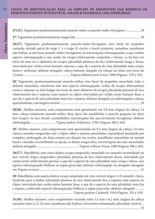 230
ChaveTaxonômica
CHAVE DE IDENTIFICAÇÃO PARA AS ESPÉCIES DE MELIPONINI DAS RESERVAS DE
DESENVOLVIMENTO SUSTENTÁVEL AMANÃ & MAMIRAUÁ (AM) (OPERÁRIAS)
27(24’). Tegumento predominantemente amarelo-méleo a amarelo-méleo-ferrugíneo ................... 28
27’. Tegumento predominantemente enegrecido ..................................................................................... 30
28(27). Tegumento predominantemente amarelo-méleo-ferrugíneo; área basal do propódeo
castanha; metade apical do tergo I e o tergo II, exceto o bordo posterior, castanhos; membrana
alar hialina, as nervuras amarelo-méleo-ferrugíneas, as microtríquias esbranquiçadas, o que confere
aspecto esbranquiçado à asa; cerdas do escapo relativamente compridas e densas, as da base em
torno de uma vez o diâmetro do escapo; pilosidade plumosa da face relativamente longa e densa,
intercalada por cerdas eretas bastante espessas, o que dá o aspecto de uma pilosidade mais crespa,
densa e uniforme; abdome alongado; cabeça bastante alargada em relação ao tórax (em torno de
3,1mm) ............................................................. Trigona dallatorreana Friese, 1900 (Figuras 339 a 343)
28’. Tegumento predominantemente amarelo-méleo; área basal do propódeo amarelada; todo o
abdome amarelado; membrana alar sem aspecto esbranquiçado; cerdas do escapo relativamente
curtas e esparsas, as mais longas em torno de meio diâmetro do escapo; pilosidade plumosa da face
relativamente fina e esparsa, mais esparsa no clípeo, intercalada por cerdas eretas bastante finas, o
que dá o aspecto de uma pilosidade mais lisa e esparsa; abdome alongado ou subtriangular; cabeça,
aparentemente, com largura normal .......................................................................................................... 29
29(28). Abelhas menores, com comprimento total aproximado em 5,8 mm; largura da cabeça 2,4
mm; cabeça totalmente amarelo-méleo clara; ápice das mandíbulas e mancha pequena no ápice
dos escapos, na face dorsal, acastanhados; microtríquias das asas levemente ferrugíneas; abdome
subtriangular ................................ Trigona pallens (Fabricius, 1798) (Figuras 360 a 364)
29’. Abelhas maiores, com comprimento total aproximado em 9,4 mm; largura da cabeça 3,9 mm;
cabeça castanho-enegrecida com o clípeo, labro e antenas amarelados; supraclipeal amarelada por
completo, prolongada em faixa estreita em direção aos ocelos; mandíbulas amareladas na metade
basal e castanho-avermelhadas na apical, os dentes enegrecidos; microtríquias das asas amareladas;
abdome alongado ....................................................... Trigona williana Friese, 1900 (Figuras 380 a 384)
30(27’). Mandíbulas com cinco dentes; escapo enegrecido, amarelado ou castanho-avermelhado na
face ventral; tergos enegrecidos; pilosidade plumosa da face relativamente densa, intercalada por
cerdas eretas relativamente grossas, o que dá o aspecto de uma pilosidade mais crespa e densa, sem
aspecto esbranquiçado-brilhoso na região parocular; abdome subtriangular ou alongado (alongado
em Trigona recursa) ..................................................................................................................................... 31
30’. Mandíbulas com quatro dentes; escapo amarelado em vista ventral; tergos I e II castanho-claros,
tendendo para o âmbar; pilosidade plumosa da face relativamente fina e esparsa, mais esparsa no
clípeo, intercalada por cerdas eretas bastante finas, o que dá o aspecto de uma pilosidade mais lisa
e esparsa, conferindo aspecto esbranquiçado-brilhoso à região parocular; abdome alongado ...........
................................................................................ Trigona guianae Cockerell, 1910 (Figuras 355 a 359)
31(30). Abelhas menores, com comprimento variando entre 5,2 mm e 6,2 mm; largura da cabeça
variando entre 2,2 e 2,6 mm; membrana alar hialina a levemente enfumaçada; pilosidade variável ...
......................................................................................................................................................................... 32
 