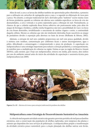 24
Além do mel, a cera e as larvas das abelhas também são aproveitadas pelos ribeirinhos, a primeira
para a utilização em cartuchos de espingardas para a caça, e a segunda na elaboração de iscas para
a pesca. No entanto, a extração tradicional de mel e derivados pelos “meleiros” ocorre muitas vezes
de forma predatória, quando as colmeias são abertas sem cuidados específicos: os favos de cria são
desmantelados, a cera é retirada e os potes espremidos para a obtenção do mel. Normalmente, as
chances de que a colméia explorada dessa forma sobreviva são praticamente nulas, pois além do
ataque de formigas e forídeos, a abelha rainha fisogástrica não tem a possibilidade de voar e os favos
de cria foram destruídos, inviabilizando o nascimento de rainhas virgens e assim, a continuidade
daquela colônia. Mesmo as colmeias que não são totalmente destruídas ficam suscetíveis ao ataque
de predadores devido à exposição pela abertura no fuste da árvore (Brilhante & Mitoso, 2002).
Ademais, a extração de mel sem cuidados proporciona um mel com pouca qualidade, devido
à mistura com resíduos, contaminação por coliformes fecais e outros microrganismos, água e
pólen, dificultando a armazenagem e comprometendo o preço da produção. A capacitação em
meliponicultura é uma estratégia importante para reduzir a extração predatória, e consequentemente,
já contribui para a multiplicação de colmeias na região. Estima-se que na região da Reserva Amanã
(RDSA), cada extrator, que é hoje um meliponicultor, retirava em média, pelo menos, dois ninhos
por ano do ambiente natural antes do início das atividades de capacitação e assessoria técnica para
meliponicultura (em 2009).
Figuras 21 e 22 - Abertura de tronco para extração tradicional de produtos das abelhas
Meliponicultura como Estratégia de Desenvolvimento Sustentável na Amazônia
Acoletadomelenquantoatividadeextrativanãogaranteaprovisãoperiódicademelparaasfamílias
extratoras, nem a conservação das populações de abelhas exploradas, nem tampouco das plantas e
animais que dependem dos seus serviços de polinização. A meliponicultura propõe a transformação
da atividade extrativa pouco sustentável, para a criação planejada das abelhas nativas sem ferrão.
 