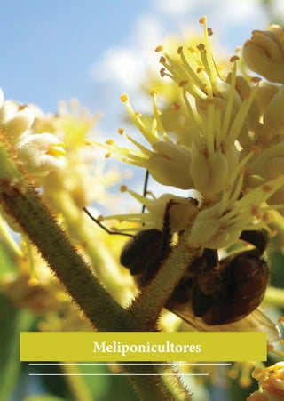 Meliponicultores
 