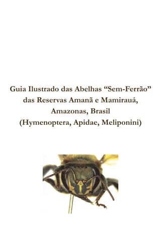 Guia Ilustrado das Abelhas “Sem-Ferrão”
das Reservas Amanã e Mamirauá,
Amazonas, Brasil
(Hymenoptera, Apidae, Meliponini)
 