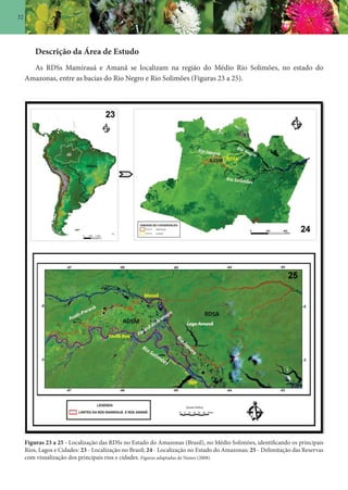 32
Descrição da Área de Estudo
As RDSs Mamirauá e Amanã se localizam na região do Médio Rio Solimões, no estado do
Amazonas, entre as bacias do Rio Negro e Rio Solimões (Figuras 23 a 25).
Figuras 23 a 25 - Localização das RDSs no Estado do Amazonas (Brasil), no Médio Solimões, identificando os principais
Rios, Lagos e Cidades: 23 - Localização no Brasil; 24 - Localização no Estado do Amazonas; 25 - Delimitação das Reservas
com visualização dos principais rios e cidades. Figuras adaptadas de Nunes (2008).
 