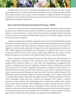 33
A biodiversidade das reservas é fortemente determinada pelas influências dos tipos de água,
apresentando, por sua vez, uma vasta gama de tipos de hábitats em seus rios, lagos, igarapés e paranãs.
Nessa região, conforme o tipo de água, a cota de inundação e a composição florística, encontramos
ecossistemas de várzea (floresta inundada por água branca), terra firme (floresta não inundada) e
igapó (floresta inundada por água preta).
Reserva de Desenvolvimento Sustentável Mamirauá - RDSM
A Reserva de Desenvolvimento Sustentável Mamirauá (RDSM), criada pelo Governo do Estado
do Amazonas em 1996, possui uma extensão de 1.124.000 ha, estando situada entre os Rios Solimões,
Japurá e o canal Auati-Paraná. É a maior área de várzea Amazônica protegida do Brasil, possuindo
elevado valor para a conservação da biodiversidade, tanto por sua diversidade biológica, como pela
ocorrência de espécies endêmicas.
A vegetação predominante na RDSM é a vegetação de várzea ou Floresta Ombrófila Densa Aluvial
Periodicamente Alagada (Figuras 26 a 29), fortemente influenciada pela dinâmica de chuvas e degelo
nas regiões andinas, de onde recebe sedimentos, nutrientes e água, por meio dos cursos hídricos. O
alagamento sazonal na região apresentou, ao longo de 19 anos de acompanhamento (período entre
1990 e 2008), amplitude anual média de 10,6 m (Ramalho et al. 2009). Nos anos em que as cheias
são maiores, geralmente, entre os meses de maio e junho, toda a RDSM fica sob as águas. A intensa
dinâmica das águas no ecossistema de várzea afeta fortemente a flora e a fauna desse ambiente.
Dentre as espécies da flora dominantes da floresta de várzea pode-se citar: Ceiba pentandra (L.)
Gaertn. (Bombacaceae) (samaúma); Virola surinamensis (Rol. ex Rottb.) Warb. (Myristicaceae)
(ucuúba); Hevea brasiliensis (Willd. ex A. Juss.) Mull. Arg. (Euphorbiaceae) (seringueira); Hura
crepitans L. (Euphorbiaceae) (assacú); Calophyllum brasiliense Cambess. (Clusiaceae) (jacareúba);
Pouteria procera (Mart.) T.D.Penn. (Sapotaceae) (maparajuba); e as palmeiras Mauritia flexuosa L.f.
(Arecaceae) (buriti) e Euterpe precatoria Mart. (Arecaceae) (açaí). Dentre as espécies da fauna mais
comuns encontramos jacarés (Melanosuchus niger (Spix, 1825) e Caiman crocodilus (Linnaeus, 1758),
Alligatoridae), quelônios aquáticos (Podocnemis expansa (Schweigger, 1812), P. unifilis Troschel, 1848
e P. sextuberculata (Cornalia, 1849), Podocnemididae) e terrestres (Geochelone denticulata (Linnaeus,
1766), Testudinidae), felinos (Felis spp. e Panthera onca (Linnaeus, 1758), Felidae), o peixe-boi
(Trichechus inunguis Natterer, 1883, Trichechidae), boto-vermelho (Inia geoffrensis Bla., Iniidae),
tucuxi (Sotalia fluviatilis (Gervais, 1853), Delphinidae), ariranha (Pteronura brasiliensis (Zimm.),
Mustelidae) e a Lontra longicaudis (Lutra sp., Mustelidae), além de mais de 340 espécies de aves.
Ademais, na área da reserva está contida toda a distribuição geográfica conhecida de dois primatas, o
uacari-branco (Cacajao calvus calvus (Geoffroy, 1847), Pitheciidae) e o macaco-de-cheiro-de-cabeça-
preta (Saimiri vanzolinii Ayres, 1985, Cebidae), um endemismo notável (IDSM, 2010).
 