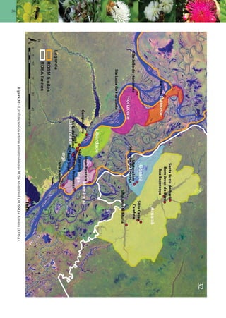 36
Figura32-LocalizaçãodossetoresamostradosnasRDSsMamirauá(RDSM)eAmanã(RDSA).
32
 