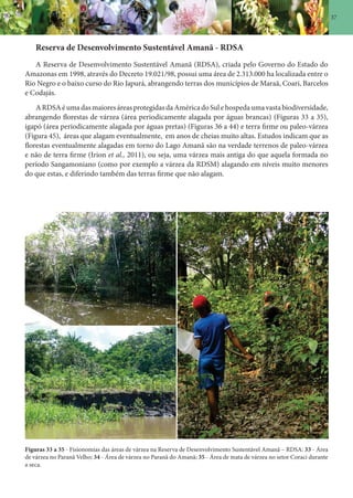 37
Reserva de Desenvolvimento Sustentável Amanã - RDSA
A Reserva de Desenvolvimento Sustentável Amanã (RDSA), criada pelo Governo do Estado do
Amazonas em 1998, através do Decreto 19.021/98, possui uma área de 2.313.000 ha localizada entre o
Rio Negro e o baixo curso do Rio Japurá, abrangendo terras dos municípios de Maraã, Coari, Barcelos
e Codajás.
ARDSAéumadasmaioresáreasprotegidasdaAméricadoSulehospedaumavastabiodiversidade,
abrangendo florestas de várzea (área periodicamente alagada por águas brancas) (Figuras 33 a 35),
igapó (área periodicamente alagada por águas pretas) (Figuras 36 a 44) e terra firme ou paleo-várzea
(Figura 45), áreas que alagam eventualmente, em anos de cheias muito altas. Estudos indicam que as
florestas eventualmente alagadas em torno do Lago Amanã são na verdade terrenos de paleo-várzea
e não de terra firme (Irion et al., 2011), ou seja, uma várzea mais antiga do que aquela formada no
período Sangamoniano (como por exemplo a várzea da RDSM) alagando em níveis muito menores
do que estas, e diferindo também das terras firme que não alagam.
Figuras 33 a 35 - Fisionomias das áreas de várzea na Reserva de Desenvolvimento Sustentável Amanã – RDSA: 33 - Área
de várzea no Paranã Velho; 34 - Área de várzea no Paranã do Amanã; 35 - Área de mata de várzea no setor Coraci durante
a seca.
 