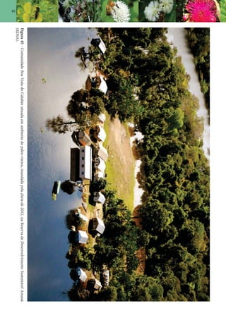 40
Figura45-ComunidadeBoaVistadoCalafatesituadaemambientedepaleo-várzea,inundadapelacheiade2012,naReservadeDesenvolvimentoSustentávelAmanã
(RDSA).
 