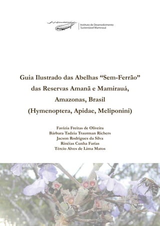 Favízia Freitas de Oliveira
Bárbara Tadzia Trautman Richers
Jacson Rodrigues da Silva
Rinéias Cunha Farias
Tércio Alves de Lima Matos
Guia Ilustrado das Abelhas “Sem-Ferrão”
das Reservas Amanã e Mamirauá,
Amazonas, Brasil
(Hymenoptera, Apidae, Meliponini)
 