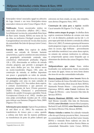Melipona
76
firme/paleo-várzea1
associada a igapó na cabeceira
do Lago Amanã e em terra firme/paleo-várzea
associada à várzea no setor Coraci (Figura 136.A)
Nidificação: Foram encontrados ninhos no
matá-matá (Eschweilera albiflora (DC.) Diers,
Lecythidaceae) na área da comunidade Bom Jesus
do Baré (setor Amanã, RDSA) em torno de 7m
do chão, no tachizeiro (Tachigali venusta Dwyer,
Caesapinioideae) em torno de 4 m do chão na área
da comunidade São João do Ipecaçu (setor Coraci,
RDSA).
Entrada do ninho: Esta espécie de abelha
constrói sua entrada de formato bastante
característico, a qual se constitui em uma estrutura
de geoprópolis acinzentada contendo raias
concêntricas relativamente profundas (Figuras
128 e 129), direcionadas ao orifício de entrada
circular, pequeno, que permite a passagem de
uma única abelha por vez. Em ninhos novos
ou recém-transferidos (Figura 130), antes da
construção da entrada, as abelhas depositam
um pouco e geoprópolis ao redor da entrada.
Características do ninho: Os favos de cria podem
ser protegidos com uma ou mais camadas de
invólucro (Figura 131). Nos ninhos desta espécie,
é comum encontrarmos o que parecem ser
pequenas sementes de lacre (Vismia guianensis
(Aubl.) Choisy, Clusiaceae) e possivelmente
também do caimbé (Coussapoa asperifolia Trécul,
Cecropiaceae) (Garcia et al., 1992), envoltos por
uma polpa avermelhada trazidos por M. crinita
para reforçar seus batumes (Nogueira-Neto, 2009)
(Figuras 132 a 134).
Informações para manejo: Espécie boa produtora
de mel (Kerr et al., 2001). No momento da
transferência do tronco para a caixa, quando
a colônia está forte não há maiores problemas
na transferência de potes de pólen (saburá) que
estiverem em bom estado, ou seja, não rompidos,
nem abertos (Nogueira-Neto, 1997).
Construção da caixa para a espécie: modelo
Cacuí tamanho M (Figuras 73 a 79; pág. 52).
Defesa contra ataque de pragas: As abelhas desta
espécie constroem bolinhas de cerume com mais
de 1 cm de diâmetro, podendo usá-las (de 1 a 4)
para tapar pelo lado de dentro a entrada da colônia
(Kerr et al., 2001). É comum a presença de besouros
muito pequenos (cegos e sem asas, de cor castanha
clara ou escura, algo brilhante - provavelmente
um indivíduo neotênico) nas caixas dessa espécie,
no entanto são animais inofensivos às colônias,
se comportando apenas como hóspedes que se
alimentam dos detritos das caixas (Nogueira-Neto,
1997).
Meliponicultores que criam: Esses ninhos
localizados nos meliponários foram encontrados
em matas de igapó, várzea ou terra firme dentro
das áreas de uso das comunidades indicadas.
Reserva Amanã (RDSA): setor Amanã: Maria do
Carmo Cardoso de Lima e Etevaldo Gama Tavares,
Téo – caixa florzinha (Bom Jesus do Baré, RDSA);
Raimundo Nonato Moura – caixa primeira (Boa
Esperança, RDSA); setor Coraci: Lindomar das
Chagas de Oliveira – caixa Taxizeiro (São João do
Ipecaçu, RDSA);
Reserva Mamirauá (RDSM): setor Horizonte:
Said Moraes Leocádio (São João do Horizonte,
RDSM);setorLiberdade:AntonioSilvaLaranjeira,
Bacharel (Coadí, RDSM); setor Mamirauá: Marilis
dos Santos Oliveira (Vila Alencar, RDSM).
Plantas visitadas e outros: Foi coletada visitando
a flor do açaí (Euterpe precatoria Mart., Arecaceae)
na comunidade Santa Luzia do Baré (setor Amanã,
RDSA) e visitando flores ruderais em área de
policultivo no sítio do Irinelson Pereira Matos na
comunidade Matusalém (setor Coraci, RDSA);
Melipona (Michmelia) crinita Moure & Kerr, 1950
Nomes populares: uruçu-amarela-avermelhada, jandaíra-maior, maria-preguiçosa, uruçu-vermelha, buná-bissu-tashipaki,
uruçu-amarela (AC), uruçu-avermelhada (AC), uruçu-amarela-avermelhada (AC), jandaíra (AM)
1
Segundo Irion et al., 2011
 