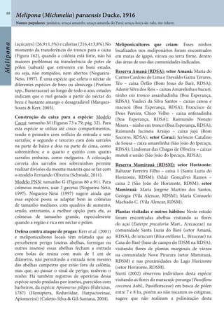Melipona
88
(açúcares) (26,9±1,3%) e calorias (216,4±3,8%).No
momento da transferência do tronco para a caixa
(Figura 162), quando a colônia está forte, não há
maiores problemas na transferência de potes de
pólen (saburá) que estiverem em bom estado,
ou seja, não rompidos, nem abertos (Nogueira-
Neto, 1997). É uma espécie que coleta o néctar de
diferentes espécies de breu ou almécega (Protium
spp., Burseraceae) ao longo de todo o ano, estudos
indicam que o mel gerado a partir do néctar do
breu é bastante amargo e desagradável (Marques-
Souza & Kerr, 2003).
Construção da caixa para a espécie: Modelo
Cacuí: tamanho M (Figuras 73 a 79; pág. 52). Para
esta espécie se utiliza até cinco compartimentos,
sendo o primeiro com orifício de entrada e sem
sarrafos; o segundo e terceiro com dois sarrafos
na parte de baixo e dois na parte de cima, como
sobreninhos; e o quarto e quinto com quatro
sarrafos embaixo, como melgueira. A colocação
correta dos sarrafos nos sobreninhos permite
realizar divisões da mesma maneira que se faz com
o modelo Fernando Oliveira (Schwade, 2011).
Modelo PNN: tamanho G (Figuras 80 a 91). Para
colmeias maiores, usar 3 gavetas (Nogueira-Neto,
1997). Nogueira-Neto (1997) sugere ainda que
essa espécie possa se adaptar bem às colmeias
de tamanho mediano, com quadros de aumento,
sendo, entretanto, a melhor opção para ela, as
colmeias de tamanho grande, especialmente
quando a região é rica em néctar e pólen.
Defesa contra ataque de pragas: Kerr et al. (2001)
e meliponicultores locais têm relatado que ao
perceberem perigo (outras abelhas, formigas ou
outros insetos) essas abelhas fecham a entrada
com bolas de resina com mais de 1 cm de
diâmetro, não permitindo a entrada nem mesmo
das abelhas campeiras que estão fora da colônia,
mas que, ao passar o sinal de perigo, reabrem o
ninho. Há também registros de operárias dessa
espécie sendo predadas por insetos, parecidos com
barbeiros, da espécie Apiomerus pilipes (Fabricius,
1787) (Hemiptera, Reduviidae, Harpactorinae,
Apiomerini) (Coletto-Silva & Gil-Santana, 2004).
Meliponicultores que criam: Esses ninhos
localizados nos meliponários foram encontrados
em matas de igapó, várzea ou terra firme, dentro
das áreas de uso das comunidades indicadas.
Reserva Amanã (RDSA): setor Amanã: Maria do
Carmo Cardoso de Lima e Etevaldo Gama Tavares,
Téo – caixa Órfão (Bom Jesus do Baré, RDSA);
Adenir Silva dos Reis – caixas Amarelinha e bacurí,
ninho em tronco assanhadinha (Boa Esperança,
RDSA); Vauleci da Silva Santos – caixas canoa e
macucú (Boa Esperança, RDSA); Francisco de
Deus Pereira, Chico Velho – caixa enfezadinha
(Boa Esperança, RDSA); Raimundo Nonato
Moura – ninho em tronco (Boa Esperança, RDSA);
Raimunda Jucineia Araújo – caixa jujú (Bom
Socorro, RDSA); setor Coraci: Jerôncio Catulino
de Sousa – caixa amarelinha (São João do Ipecaçu,
RDSA); Lindomar das Chagas de Oliveira – caixas
mututí e união (São João do Ipecaçu, RDSA);
Reserva Mamirauá (RDSM): setor Horizonte:
Baltazar Ferreira Filho – caixa 1 (Santa Luzia do
Horizonte, RDSM); Odair Gonçalves Ramos –
caixa 2 (São João do Horizonte, RDSM); setor
Mamirauá: Maria Jorgene Martins dos Santos,
Geórgia (Vila Alencar, RDSM); Maria Consuelo
Machado C. (Vila Alencar, RDSM).
Plantas visitadas e outros hábitos: Neste estudo
foram encontradas abelhas visitando as flores
do açaí (Euterpe precatoria Mart., Arecaceae) na
comunidade Santa Luzia do Baré (setor Amanã,
RDSA), do urucum (Bixa orellana L., Bixaceae) na
Casa do Baré (base de campo do IDSM na RDSA),
visitando flores de plantas marginais de várzea
na comunidade Novo Pirarara (setor Mamirauá,
RDSM) e nas proximidades do Lago Horizonte
(setor Horizonte, RDSM).
Storti (2002) observou indivíduos desta espécie
visitando as flores do maracujá-poranga (Passiflora
coccinea Aubl., Passifloraceae) em busca de pólen
entre 7 e 8 hs, porém ao não tocarem os estigmas,
sugere que não realizam a polinização desta
Melipona (Michmelia) paraensis Ducke, 1916
Nomes populares: jandaíra, uruçu amarelo; uruçu amarela do Pará; uruçu-boca-de-ralo, me-tekere.
 