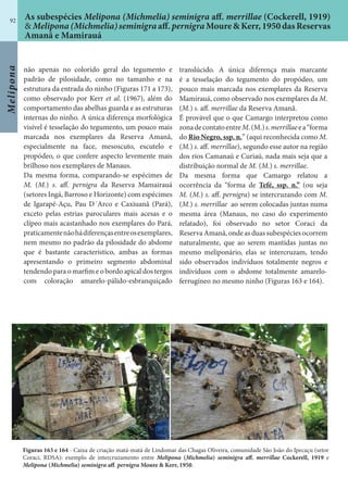 Melipona
92
não apenas no colorido geral do tegumento e
padrão de pilosidade, como no tamanho e na
estrutura da entrada do ninho (Figuras 171 a 173),
como observado por Kerr et al. (1967), além do
comportamento das abelhas guarda e as estruturas
internas do ninho. A única diferença morfológica
visível é tesselação do tegumento, um pouco mais
marcada nos exemplares da Reserva Amanã,
especialmente na face, mesoscuto, escutelo e
propódeo, o que confere aspecto levemente mais
brilhoso nos exemplares de Manaus.
Da mesma forma, comparando-se espécimes de
M. (M.) s. aff. pernigra da Reserva Mamairauá
(setores Ingá, Barroso e Horizonte) com espécimes
de Igarapé-Açu, Pau D´Arco e Caxiuanã (Pará),
exceto pelas estrias paroculares mais acesas e o
clípeo mais acastanhado nos exemplares do Pará,
praticamentenãohádiferençasentreosexemplares,
nem mesmo no padrão da pilosidade do abdome
que é bastante característico, ambas as formas
apresentando o primeiro segmento abdominal
tendendo para o marfim e o bordo apical dos tergos
com coloração amarelo-pálido-esbranquiçado
translúcido. A única diferença mais marcante
é a tesselação do tegumento do propódeo, um
pouco mais marcada nos exemplares da Reserva
Mamirauá, como observado nos exemplares da M.
(M.) s. aff. merrillae da Reserva Amanã.
É provável que o que Camargo interpretou como
zonadecontatoentreM.(M.)s.merrillaeea“forma
do Rio Negro, ssp. n.” (aqui reconhecida como M.
(M.) s. aff. merrillae), segundo esse autor na região
dos rios Camanaú e Curiaú, nada mais seja que a
distribuição normal de M. (M.) s. merrillae.
Da mesma forma que Camargo relatou a
ocorrência da “forma de Tefé, ssp. n.” (ou seja
M. (M.) s. aff. pernigra) se intercruzando com M.
(M.) s. merrillae ao serem colocadas juntas numa
mesma área (Manaus, no caso do experimento
relatado), foi observado no setor Coraci da
Reserva Amanã, onde as duas subespécies ocorrem
naturalmente, que ao serem mantidas juntas no
mesmo meliponário, elas se intercruzam, tendo
sido observados indivíduos totalmente negros e
indivíduos com o abdome totalmente amarelo-
ferrugíneo no mesmo ninho (Figuras 163 e 164).
Figuras 163 e 164 - Caixa de criação matá-matá de Lindomar das Chagas Oliveira, comunidade São João do Ipecaçu (setor
Coraci, RDSA): exemplo de intercruzamento entre Melipona (Michmelia) seminigra aff. merrillae Cockerell, 1919 e
Melipona (Michmelia) seminigra aff. pernigra Moure & Kerr, 1950.
As subespécies Melipona (Michmelia) seminigra aff. merrillae (Cockerell, 1919)
& Melipona(Michmelia)seminigraaff.pernigraMoure&Kerr,1950dasReservas
Amanã e Mamirauá
 