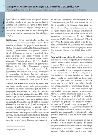 Melipona
96
igapó, várzea e terra firme) e antropizados (áreas
de sítios, roçados e ao redor da casa na base de
campo). Em ambiente de igapó e terra firme/
paleo-várzea1
associada a igapó ao longo do Lago
Amanã, no setor Amanã e em terra firme/paleo-
várzea associada a várzea no setor Coraci (Figura
179.A).
Nidificação: Foram encontrados ninhos em
ocos de árvores vivas localizados entre 8 e 10 m
do chão, na floresta de igapó do setor Amanã da
RDSA, em árvores conhecidas localmente como:
arapari (Macrolobium acaciifolium (Benth.)
Benth., Fabaceae) na área da comunidade Bom
Jesus do Baré e nas matas próximas ao sítio
Cacau pertencente à comunidade Santo Estevão;
caramuri (Pouteria elegans (A.D.C.) Baehni,
Sapotaceae), em tronco morto de genipapinho
(Duroia duckei Huber, Rubiaceae), genipapo
(Genipa americana L., Rubiaceae) todos
localizados próximo ao Sítio Cacau, pertencente
à comunidade de Santo Estevão; matá-matá
(Eschweilera albiflora (DC.) Diers, Lecythidaceae)
na área da comunidade Bom Jesus do Baré.
Entrada do ninho: Esta espécie de abelha tem
seu nome popular caracterizado pela arquitetura
da entrada do ninho, constituída por um tubo de
geoprópolis enegrecido em forma de trombeta
com borda circular rendada (Figuras 171 a 173),
sendo os processos da borda (em torno de 29, mais
ou menos) mais escurecidos que a região mediana
da entrada. Nos ninhos de M. (M.) s. merrillae
observados por Kerr et al. (1967) na região de
Manaus, a entrada possuía o mesmo padrão
daquelas observadas por nós no presente estudo,
com o tubo de entrada apresentando comprimento
entre 2,0 cm e 2,8 cm, com diâmetro basal de 3,2 cm
a4,2cm,diâmetroapicalvariandode4,0cmpor4,5
cm a 5,0 cm por 5,4 cm, diâmetro interno entre 1,1
cm e 1,6 cm, e número de processos entre 26 e 28.
Como observado por diferentes autores para M.
(M.) s. merrillae e no presente estudo para a M.
(M.) s. aff. merrillae, é bastante comum encontrar
na região ninhos com a entrada ornamentada
com sementes e resina vermelha, sendo as mais
comumente encontradas as do lacre (Vismia
guianensis (Aubl.) Choisy, Clusiaceae) (Absy &
Kerr 1977; Nogueira-Neto, 2009) e as do cipó
ambé (Philodendron sp., Araceae) e possivelmente
também do caimbé (Coussapoa asperifolia Trécul,
Cecropiaceae) (Garcia et al., 1992) (Figuras 173 e
175).
Características do ninho: O ninho é estruturado
comosdiscosdecriassobrepostos,horizontalmente,
nãoapresentandocélulareal,comotodasasabelhas
de gênero Melipona. As células mais jovens são
mais escuras e as células mais velhas mais claras,
devido à remoção de cera pelas operárias conforme
ocorre o desenvolvimento das larvas (Figura 174).
Um invólucro de cera envolve os favos de
crias e auxilia na manutenção da temperatura
das crias, que deve ser mantida a 31-34ºC
(registrado para M. (M.) s. merrillae). Estudos
que acompanharam a temperatura interna de
ninhos de M. (M.) s. merrillae sugerem que
essa espécie consegue manter a temperatura
interna da colônia (Carvalho-Zilse et al., 2007).
Como observado para a M. (M.) s. merrillae,
os potes de alimento, pólen e mel, são bojudos
e dispostos na periferia do invólucro, medindo
em torno de 3,5 cm de comprimento por 2,3 cm
de diâmetro (Figura 177). As frestas da cavidade
onde as abelhas nidificam e a entrada do ninho é
revestida por geoprópolis, confeccionado pelas
operárias mediante o uso de barro com resinas
vegetais.
A rainha virgem é um pouco menor do que as
operárias e mais escura, nascendo de células
que possuem o mesmo tamanho das células que
dão origem à operárias e zangões, já que não
possuem células reais (Oliveira & Aidar, 2006).
1
Segundo Irion et al., 2011
Nomes populares: uruçu boca-de-renda, jandaíra, jandaíra amarela de Manaus, jandaíra alaranjada da Amazônia.
Melipona (Michmelia) seminigra aff. merrillae Cockerell, 1919
 