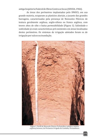 antigaInspetoriaFederaldeObrasContraasSecas(SOUZA,1966).
As áreas dos perímetros implantados pelo DNOCS, em sua
grande maioria, ocuparam as planícies aluviais, a jusante das grandes
barragens, caracterizadas pela presença de Neossolos Flúvicos de
textura geralmente argilosa, argilo-siltosa ou franco argilosa, com
teores altos de silte e baixa permeabilidade (Figura 1). Salinidade e
sodicidade já eram características pré-existentes em áreas localizadas
destes perímetros. Os sistemas de irrigação adotados foram os de
irrigaçãoporsulcosouinundação.
173
Figura 1. Perfil de Neossolo Flúvico Ta Eutrófico solódico, textura
argilosa/arenosa, do Perímetro Irrigado de Custódia, Pernambuco.
 