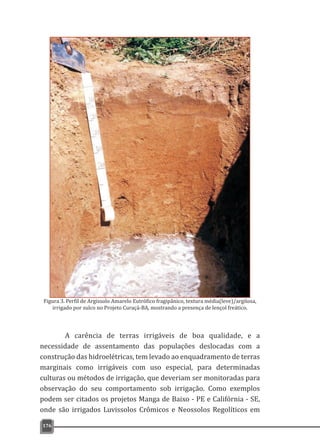 Figura 3. Perfil de Argissolo Amarelo Eutrófico fragipânico, textura média(leve)/argilosa,
irrigado por sulco no Projeto Curaçá-BA, mostrando a presença de lençol freático.
176
A carência de terras irrigáveis de boa qualidade, e a
necessidade de assentamento das populações deslocadas com a
construção das hidroelétricas, tem levado ao enquadramento de terras
marginais como irrigáveis com uso especial, para determinadas
culturas ou métodos de irrigação, que deveriam ser monitoradas para
observação do seu comportamento sob irrigação. Como exemplos
podem ser citados os projetos Manga de Baixo - PE e Califórnia - SE,
onde são irrigados Luvissolos Crômicos e Neossolos Regolíticos em
 