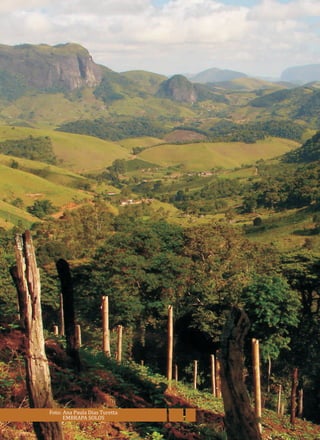 Foto: Ana Paula Dias Turetta
EMBRAPA SOLOS
 