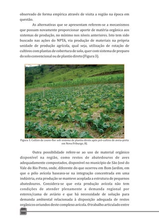 440
observado de forma empírica através de visita a região na época em
questão.
As alternativas que se apresentam referem-se a mecanismos
que possam novamente proporcionar aporte de matéria orgânica aos
sistemas de produção, no mínimo nos níveis anteriores. Isto tem sido
buscado nas ações do NPTA, via produção de materiais na própria
unidade de produção agrícola, qual seja, utilização de rotação de
cultivos com plantas de cobertura de solo, quer com sistema de preparo
dosoloconvencionaloudeplantiodireto(Figura3).
Figura 3. Cultivo de couve-flor sob sistema de plantio direto após pré-cultivo de aveia-preta
em Nova Friburgo, RJ.
Outra possibilidade refere-se ao uso de material orgânico
disponível na região, como restos de abatedouros de aves
adequadamente compostados, disponível no município de São José do
Vale do Rio Preto, onde, diferente do que ocorreu em Bom Jardim, em
que o pólo avícola baseava-se na integração concentrada em uma
indústria, esta produção se manteve acoplada a estrutura de pequenos
abatedouros. Considera-se que esta produção avícola não tem
condições de atender plenamente a demanda regional por
esterco/cama de aviário e que há necessidade de solução para
demanda ambiental relacionada à disposição adequada de restos
orgânicosoriundosdestecomplexoavícola.Otrabalhoarticuladoentre
 