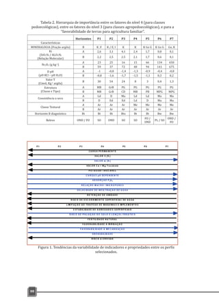 88
Horizontes P1 P2 P3 P4 P5 P6 P7
Características
MINERALOGIA (Fração argila) B K ,V K / E, I K K K Go G K Go G Go, K
Ki
(SiO2% / Al2O3%
(Relação Molecular)
A 2,6 3,1 4,1 2,4 1,7 0,8 0,1
B 2,2 2,5 2,5 2,1 1,7 0,6 0,1
Fe2O3 (g kg-1)
A 23 25 16 15 66 134 650
B 59 37 72 48 94 141 675
D pH
(pH KCl – pH H2O)
A -1 -0,8 -1,4 -1,3 -0,9 -0,4 -0,8
B -0,8 -1,6 -1,7 -1,5 -1,1 0,3 0,2
Valor T
(Cmolc Kg-1 argila)
B 30 54 24 8 3 0,4 1,3
Estrutura
(Classe e Tipo)
A MB GrB PG PG PG PG PG
B MB GrB CD MB PB MPG MPG
Consistência a seco
A Ld D Ma Ld Ld Ma Ma
B D Ed Ed Ld D Ma Ma
Classe Textural
A Ar Ar Ar Me Me Me Me
B Ar Ar Ar Ar Ar Ar Ar
Horizonte B diagnóstico Bt Bt Bt Btx Bt Bt Bw Bw
Relevo OND / FO SO OND SO SO
FO /
OND
PL / SO
OND /
FO
Tabela 2. Hierarquia de importância entre os fatores do nível 4 (para classes
pedoecológicas), entre os fatores do nível 3 (para classes agropedoecológicas), e para a
“favorabilidade de terras para agricultura familiar”.
Figura 1. Tendências da variabilidade de indicadores e propriedades entre os perfis
selecionados.
 
