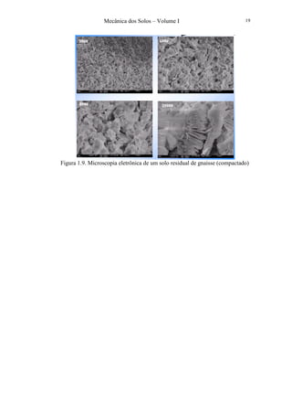 Mecânica dos Solos – Volume I 19
Figura 1.9. Microscopia eletrônica de um solo residual de gnaisse (compactado)
 