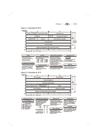 Prefácio — — XLIII
Figura 1. Cabeçalho de IPv4
Figura 2. Cabeçalho de TCP
 