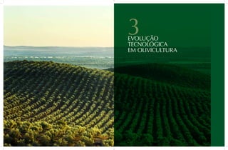 { 78 } O grande livro da oliveira e do azeite { 79 } O grande livro da oliveira e do azeite
3Evolução
tecnológica
em Olivicultura
 