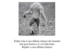Então esta é sua última chance de mandar
isto pra lixeira e ir ver televisão.
Repito: a sua última chance.
 