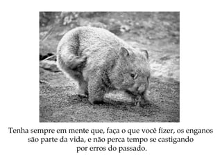 Tenha sempre em mente que, faça o que você fizer, os enganos
são parte da vida, e não perca tempo se castigando
por erros do passado.
 