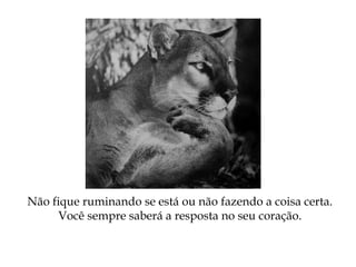 Não fique ruminando se está ou não fazendo a coisa certa.
Você sempre saberá a resposta no seu coração.
 