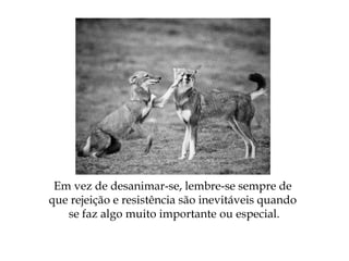 Em vez de desanimar-se, lembre-se sempre de
que rejeição e resistência são inevitáveis quando
se faz algo muito importante ou especial.
 
