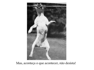 Mas, aconteça o que acontecer, não desista!
 