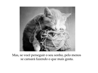 Mas, se você perseguir o seu sonho, pelo menos
se cansará fazendo o que mais gosta.
 