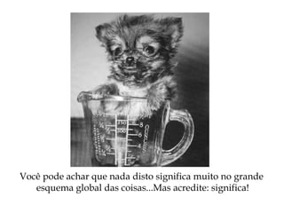 Você pode achar que nada disto significa muito no grande
esquema global das coisas...Mas acredite: significa!
 