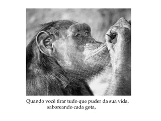 Quando você tirar tudo que puder da sua vida,
saboreando cada gota,
 