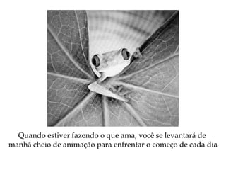 Quando estiver fazendo o que ama, você se levantará de
manhã cheio de animação para enfrentar o começo de cada dia
 