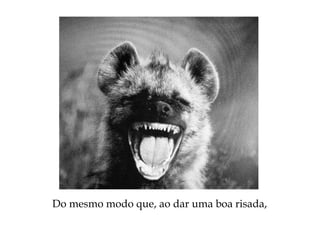 Do mesmo modo que, ao dar uma boa risada,
 