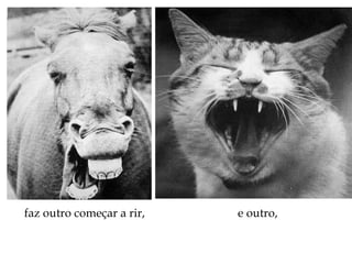 faz outro começar a rir, e outro,
 