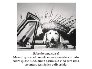 Sabe de uma coisa?
Mesmo que você cometa enganos e esteja errado
sobre quase tudo, ainda assim sua vida será uma
aventura fantástica e divertida;
 