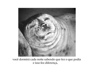 você dormirá cada noite sabendo que fez o que podia
e isso fez diferença,
 