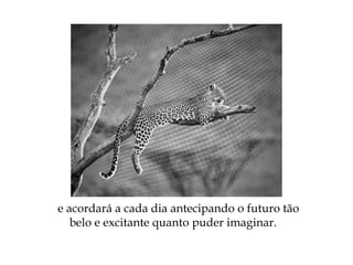e acordará a cada dia antecipando o futuro tão
belo e excitante quanto puder imaginar.
 