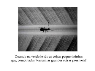 Quando na verdade são as coisas pequenininhas
que, combinadas, tornam as grandes coisas possíveis?
 