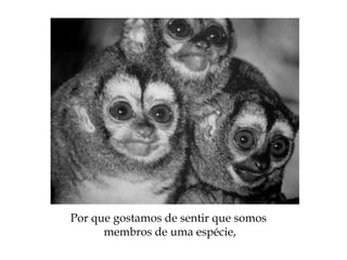 Por que gostamos de sentir que somos
membros de uma espécie,
 