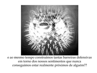 e ao mesmo tempo construímos tantas barreiras defensivas
em torno dos nossos sentimentos que nunca
conseguimos estar realmente próximos de alguém??
 