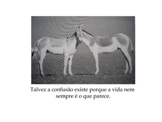 Talvez a confusão existe porque a vida nem
sempre é o que parece.
 