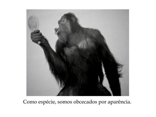 Como espécie, somos obcecados por aparência.
 