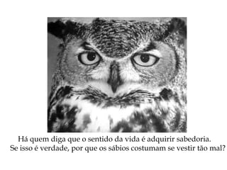 Há quem diga que o sentido da vida é adquirir sabedoria.
Se isso é verdade, por que os sábios costumam se vestir tão mal?
 