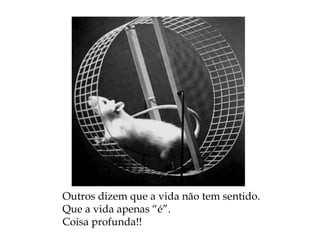Outros dizem que a vida não tem sentido.
Que a vida apenas “é”.
Coisa profunda!!
 