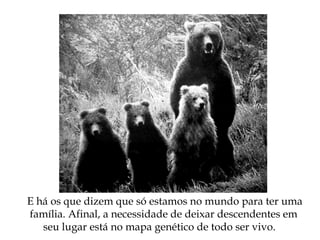 E há os que dizem que só estamos no mundo para ter uma
família. Afinal, a necessidade de deixar descendentes em
seu lugar está no mapa genético de todo ser vivo.
 