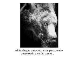 Aliás, chegue um pouco mais perto, tenho
um segredo para lhe contar...
 